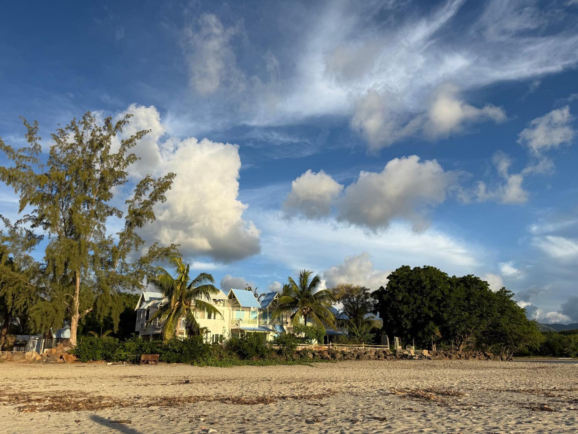 Les Fleurs Du Beachfront Residences